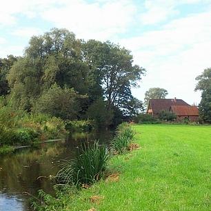 Coaching am Fluss in Neumühlen in Niedersachsen.