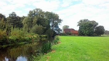 Coaching am Fluss in Neumühlen in Niedersachsen. Coaching am Fluss in Neumühlen in Niedersachsen.