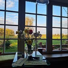 Coaching mit Weiblick