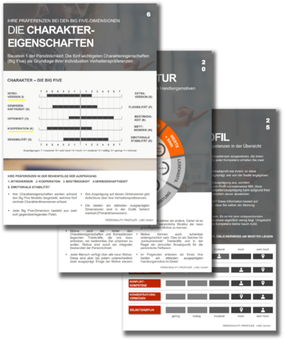 LINC Personality Profiling: Charakter - Motive - Kompetenzen Flyer zu LPP Linc Persönlichkeitsprofilien
