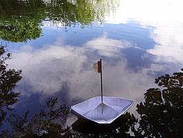 Coaching: Leinen los! Niedersachsen, nahe Walsrode Coaching: Leinen los! Niedersachsen, nahe Walsrode