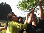 Als Team stark - Teamevents bei Coniunctum GmbH Als Team stark - Teamevents bei Coniunctum GmbH