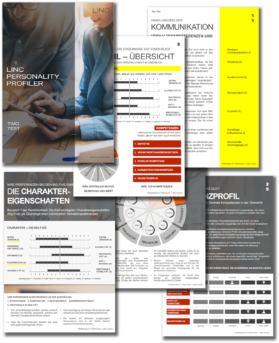 LPP LINC Personality Profiler Auszüge aus einem Testbeispiel