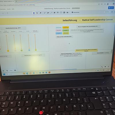 Einblick in das Canvas auf einem PC