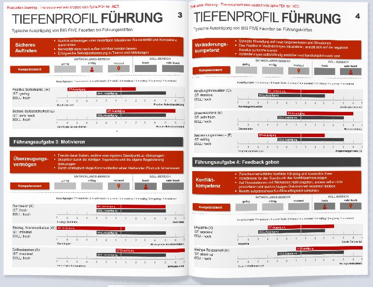 Ausschnitt aus einem LPP Tiefenprofil Führung